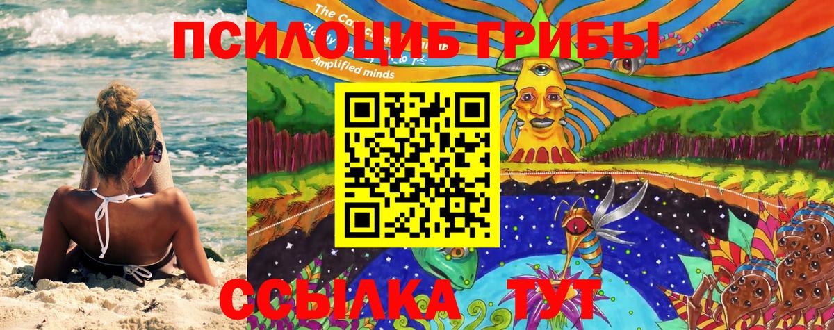 Псилоцибиновые грибы Magic Shrooms Родники