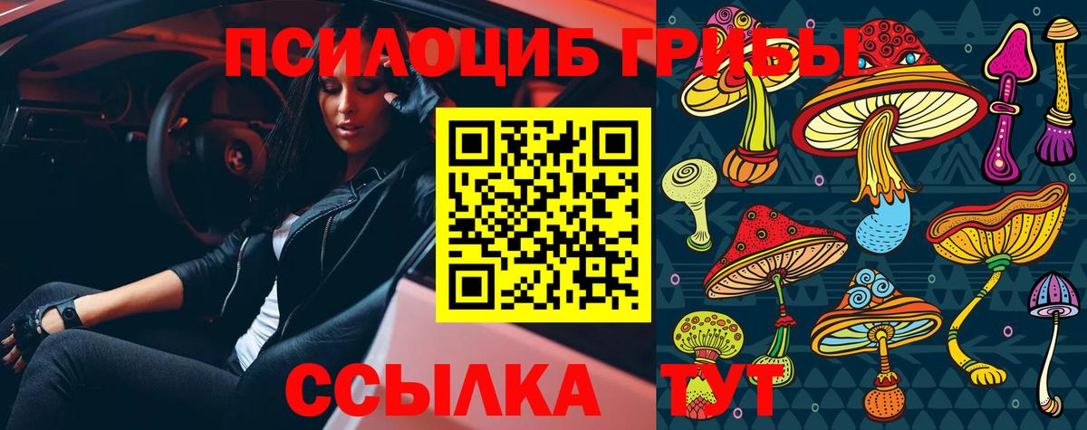 Псилоцибиновые грибы мухоморы  Псилоцибиновые грибы Psilocybe  Вход с VPN  продажа наркотиков  Родники 